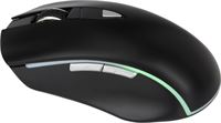 MOUSE LUMINOSO